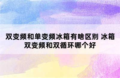 双变频和单变频冰箱有啥区别 冰箱双变频和双循环哪个好